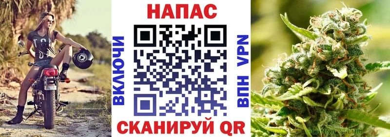 Где найти наркотики Фатеж АМФ  Меф  МАРИХУАНА 
