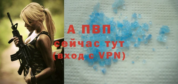 эйфоретик Баксан