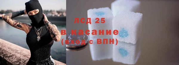 эйфоретик Баксан