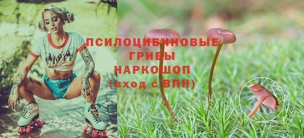 эйфоретик Баксан