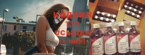 эйфоретик Баксан